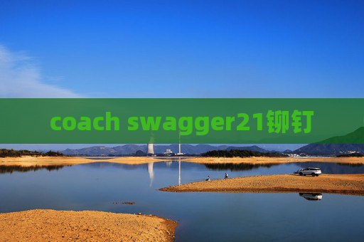 coach swagger21铆钉